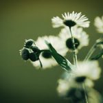 爱看影院 洛阳:畅享视听盛宴,体验电影的无限魅力 0s15bn9slh