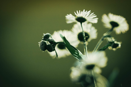 爱看影院 洛阳：畅享视听盛宴，体验电影的无限魅力