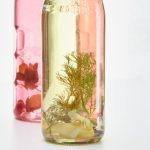 爱情岛独家官方论坛:探索浪漫与激情的交流平台 aa76t2bek