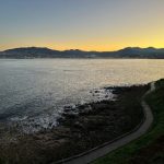 爱情岛论坛亚洲首页入口章节:探索浪漫与激情的完美结合之旅 aw669brqi3