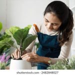 爱威奶官网活动:畅享健康美味,尽在每一杯 l4zqo