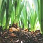 爱影视:探索影视艺术的魅力与无限可能 w89suy11e