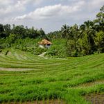 看看屋影院:沉浸式观影体验带你领略电影的魅力 0q50gt5e8t