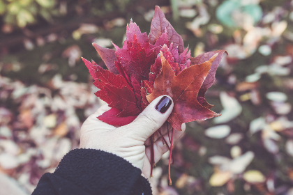 看片狂人影视官网：畅享最新电影与电视剧的最佳选择