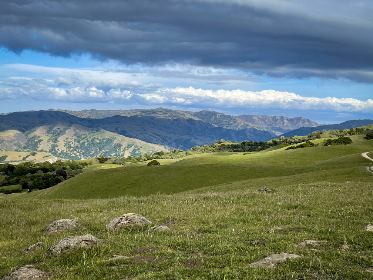 真不卡影院官网安全吗？全面解析其安全性与用户体验