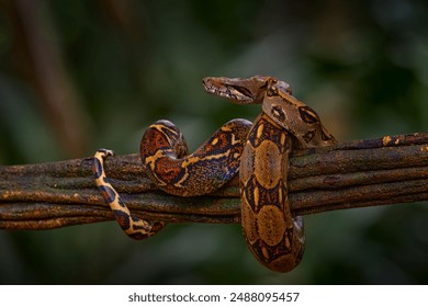 看片网站推荐 美剧：畅享热门美剧的最佳观看平台推荐