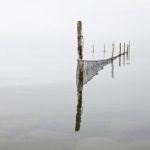 真人瑟瑟瑟网站:探索真实互动体验的全新平台 vs404